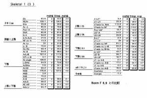 ポリゴン表（計測されたデータ）